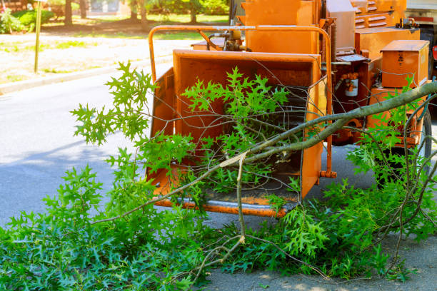 Landscape Design and Installation in Warm Springs, OR